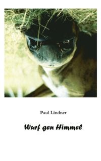 Produktbild: Wurf gen Himmel