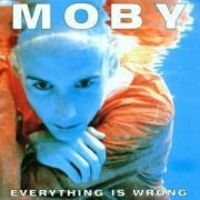 Produktbild: Everything Is Wrong