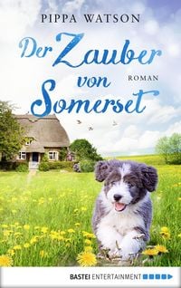 Produktbild: Der Zauber von Somerset