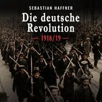 Produktbild: Die deutsche Revolution 1918/19