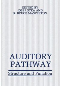 Produktbild: Auditory Pathway