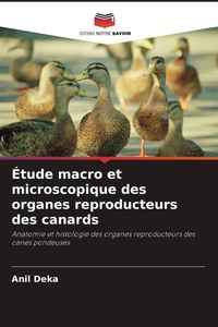 Produktbild: &Eacute;tude macro et microscopique des organes reproducteurs des canards