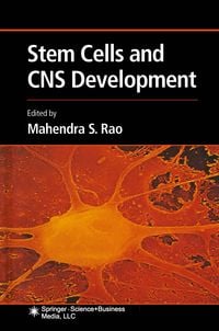 Produktbild: Stem Cells and CNS Development