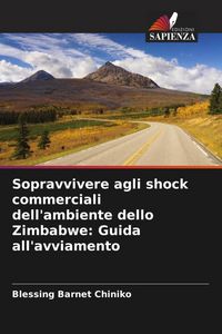 Produktbild: Sopravvivere agli shock commerciali dell'ambiente dello Zimbabwe: Guida all'avviamento