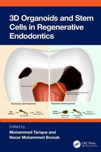 Produktbild: 3D Organoids and Stem Cells in Regenerative Endodontics
