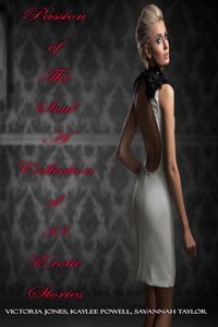Produktbild: Passion of The Soul - A Collection of 35 Erotic Stories