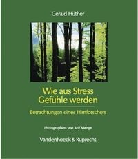 Produktbild: Wie aus Stress Gef&uuml;hle werden