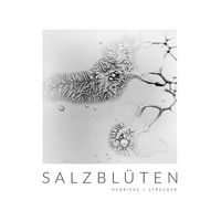 Produktbild: Salzbl&uuml;ten