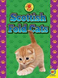Produktbild: Scottish Fold Cats