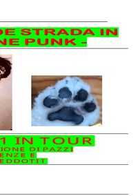 Produktbild: De cane da strada do cane punk