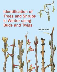 Bild vom Artikel Identification of Trees and Shrubs in Winter Using Buds and Twigs vom Autor Bernd Schulz