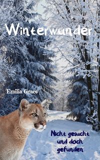 Produktbild: Winterwunder - Nicht gesucht und doch gefunden
