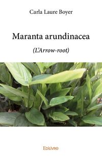 Produktbild: Maranta arundinacea