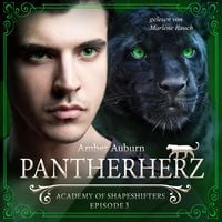 Produktbild: Pantherherz, Episode 3 - Fantasy-Serie