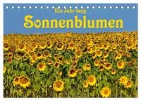 Produktbild: Ein Jahr lang Sonnenblumen (Tischkalender 2027 DIN A5 quer), CALVENDO Monatskalender