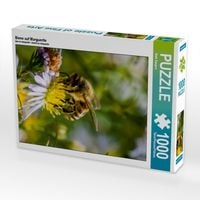 Produktbild: CALVENDO Puzzle Biene auf Marguerite | 1000 Teile Lege-Gr&ouml;&szlig;e 64x48cm Foto-Puzzle f&uuml;r gl&uuml;ckliche Stunden