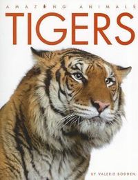 Produktbild: Amazing Animals Tigers