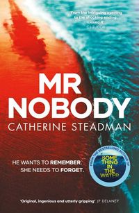 Bild vom Artikel Steadman, C: Mr Nobody vom Autor Catherine Steadman