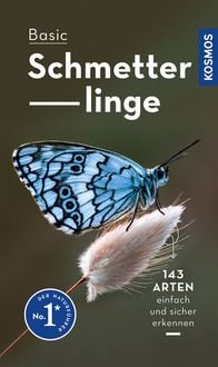 Produktbild: Basic Schmetterlinge