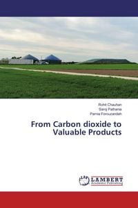 Produktbild: From Carbon dioxide to Valuable Products
