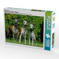 Produktbild: CALVENDO Puzzle Ein Motiv aus dem Kalender Schnell wie der Wind - Whippet | 1000 Teile Lege-Gr&ouml;&szlig;e 64x48cm Foto-Puzzle f&uuml;r gl&uuml;ckliche Stunden