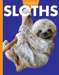 Produktbild: Curious about Sloths