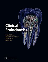 Produktbild: Clinical Endodontics