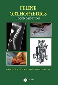 Produktbild: Scott, H: Feline Orthopaedics