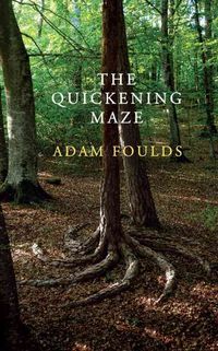 Produktbild: Foulds, A: The Quickening Maze