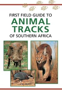 Produktbild: Sasol First Field Guide to Animal Tracks of Southern Africa