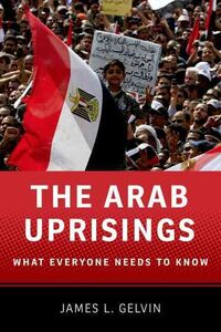 Produktbild: The Arab Uprisings