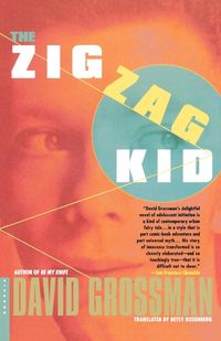 Bild vom Artikel The Zigzag Kid vom Autor David Grossman