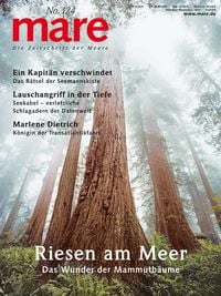 Produktbild: mare - Die Zeitschrift der Meere / No. 124 / B&auml;ume