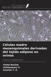 Produktbild: C&eacute;lulas madre mesenquimales derivadas del tejido adiposo en ovinos