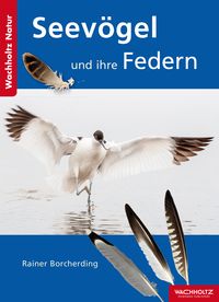 Produktbild: Seev&ouml;gel und ihre Federn