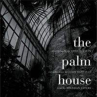 Produktbild: Dublins Palm House Amelia Stei