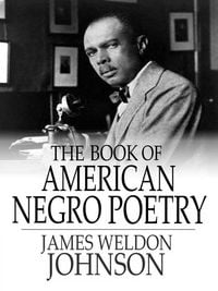 Produktbild: Book of American Negro Poetry