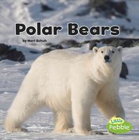 Produktbild: Polar Bears