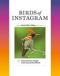 Produktbild: Birds of Instagram