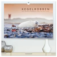 Produktbild: Kegelrobben - Die Kegelrobben von Helgoland (hochwertiger Premium Wandkalender 2027 DIN A2 quer), Kunstdruck in Hochglanz