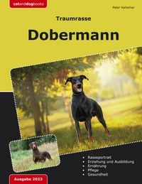 Produktbild: Traumrasse: Dobermann