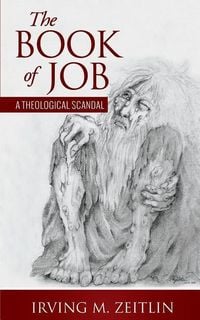 Produktbild: The Book of Job: A Theological Scandal