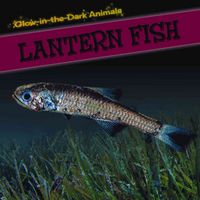 Produktbild: Lantern Fish