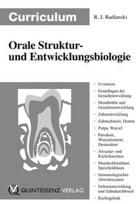 Bild vom Artikel Curriculum Orale Struktur- und Entwicklungsbiologie vom Autor Ralf J. Radlanski