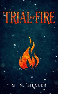 Produktbild: Trial by Fire (Trillium, #1)