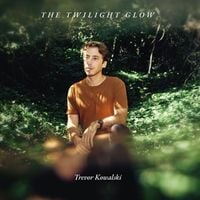 Produktbild: The Twilight Glow,1 Schallplatte