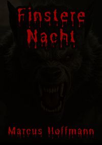 Produktbild: Finstere Nacht
