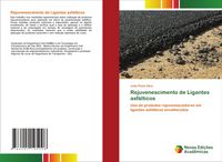 Produktbild: Rejuvenescimento de Ligantes asf&aacute;lticos
