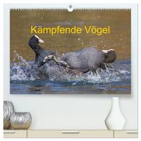 Produktbild: K&auml;mpfende V&ouml;gel (hochwertiger Premium Wandkalender 2026 DIN A2 quer), Kunstdruck in Hochglanz