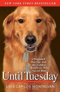 Produktbild: Until Tuesday